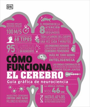 CÓMO FUNCIONA EL CEREBRO