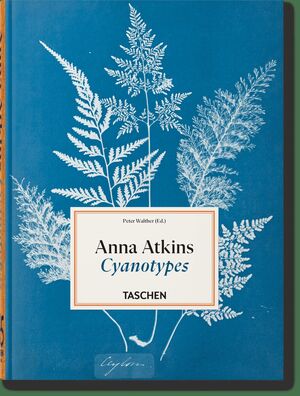 ANNA ATKINS