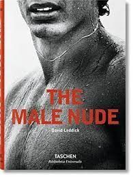 MALE NUDE HC