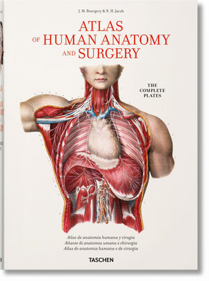 BOURGERY. ATLAS OF HUMAN ANATOMY AND SURGERY