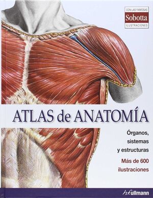 ATLAS DE ANATOMIA