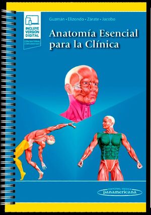 ANATOMIA ESENCIAL PARA LA CLINICA