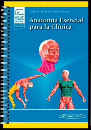 ANATOMIA ESENCIAL PARA LA CLINICA