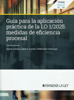 GUÍA PARA LA APLICACIÓN PRÁCTICA DE LA LO 1/2025: MEDIDAS DE EFICIENCIA PROCESAL