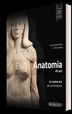 EVA. ANATOMÍA. ATLAS