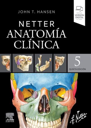 NETTER. ANATOMÍA CLÍNICA.