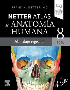 NETTER ATLAS DE ANATOMIA HUMANA ABORDAJE REGIONA