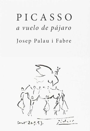 PICASSO A VUELO DE PAJARO