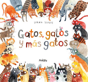 GATOS, GATOS Y MÁS GATOS