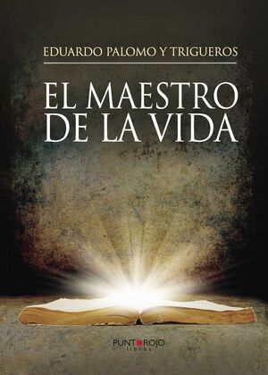 EL MAESTRO DE LA VIDA