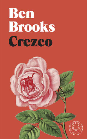 CREZCO -BOLSILLO