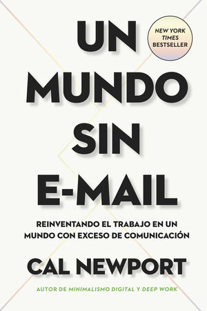 UN MUNDO SIN E-MAIL (A WORLD WITHOUT E-MAIL, SPANISH EDITION)