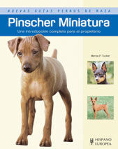 PINSCHER MINIATURA