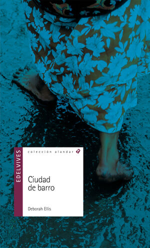 CIUDAD DE BARRO