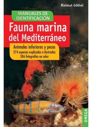 FAUNA MARINA DEL MEDITERRÁNEO ANIMALES INFERIORES Y PECES