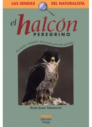 EL HALCÓN PEREGRINO:DESCRIPCIÓN, COSTUMBRES, OBSERVACIÓN, PROTECCIÓN, MITOLOGÍA--