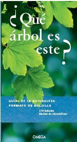¿QUÉ ÁRBOL ES ESTE?