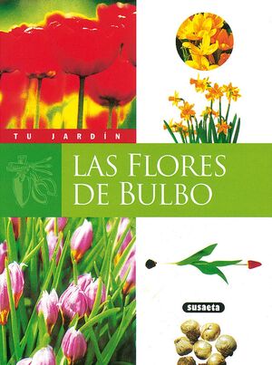 FLORES DE BULBO