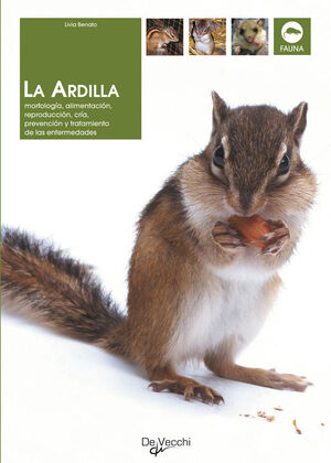 LA ARDILLA