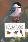 CÓMO ATRAER A LOS PÁJAROS A SU BALCÓN O JARDÍN