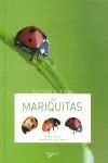 LAS MARIQUITAS