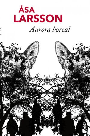 AURORA BOREAL