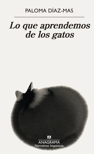 LO QUE APRENDEMOS DE LOS GATOS