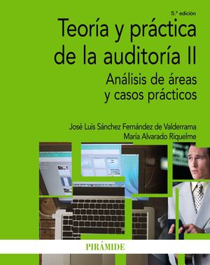 TEORÍA Y PRÁCTICA DE LA AUDITORÍA II : ANÁLISIS DE ÁREAS Y CASOS PRÁCTICOS