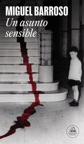 UN ASUNTO SENSIBLE