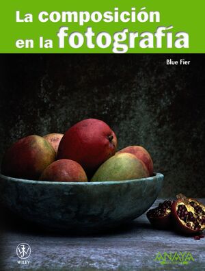 LA COMPOSICIÓN EN LA FOTOGRAFÍA