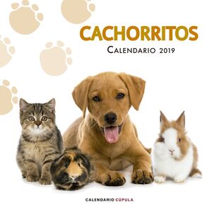 CALENDARIO CACHORRITOS 2019