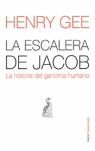 LA ESCALERA DE JACOB