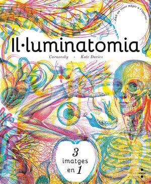 IL·LUMINATOMIA