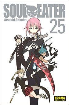 SOUL EATER VOL 25