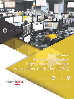 PREVENCIÓN DE RIESGOS LABORALES: ERGONOMÍA EN LA PANTALLA DE VISUALIZACIÓN DE DA