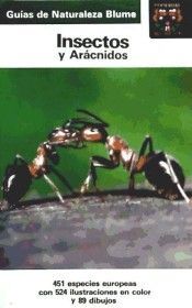 INSECTOS Y ARÁCNIDOS