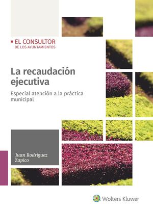 LA RECAUDACIÓN EJECUTIVA