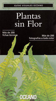 PLANTAS SIN FLOR