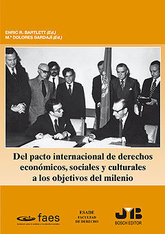 DEL PACTO INTERNACIONAL DE DERECHOS ECONÓMICOS, SOCIALES Y CULTURALES A LOS OBJETIVOS DEL MILENIO