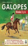 GALOPES, CURSO DE EQUITACIÓN, NIVELES 5 Y 6