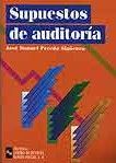 SUPUESTOS DE AUDITORÍA