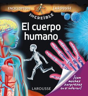 EL CUERPO HUMANO