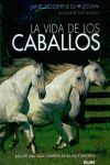 LA VIDA DE LOS CABALLOS