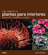 GUÍA COMPLETA DE PLANTAS PARA INTERIORES