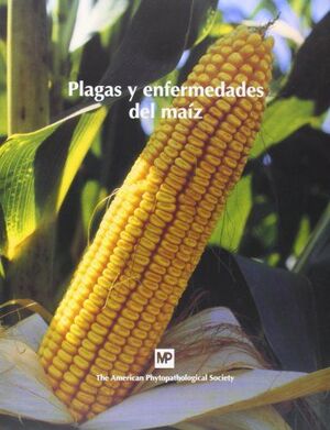 PLAGAS Y ENFERMEDADES DEL MAÍZ