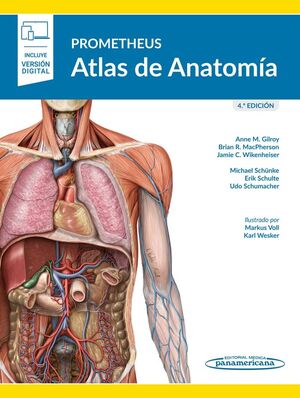 PROMETHEUS. ATLAS DE ANATOMÍA 4º ED  (E-BOOK)