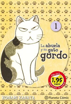 LA ABUELA Y SU GATO GORDO 1