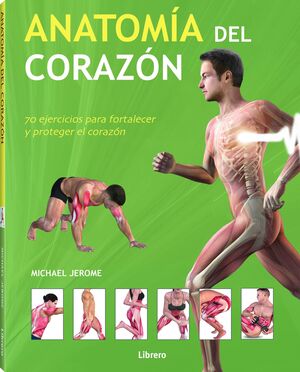 ANATOMÍA DEL CORAZÓN